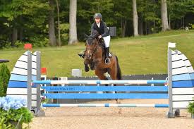 Image result for Fisher Equestrian