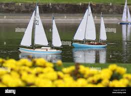 Image result for Chasewater Model Boat Club