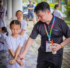 Image result for Han Wong Tae Kwon Do Academy