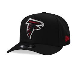 Image result for Falcons Black