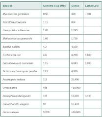 Image result for genome sizes