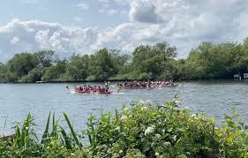 Image result for Thames Dragon Boat Club