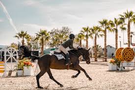 Image result for Fisher Equestrian