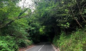 Image result for Green Lane Mountaineering Club, Surrey