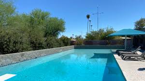 Image result for Derby Phoenix Swimming Club