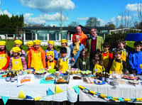 Image result for Mayford Athletic Football Club