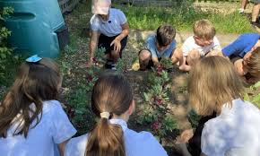 Image result for Shephalbury Bowls Club