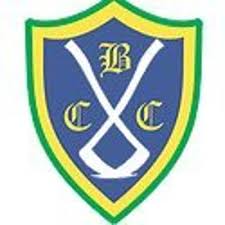 Image result for Bronwydd Cricket Club