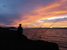 Image result for Bristol Channel Sea Fishing