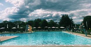 Image result for Ware Swimming Club