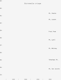 Attēlu rezultāti vaicājumam “Dicranella crispa”