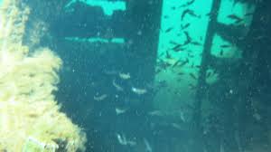 Image result for Birmingham BSAC 25