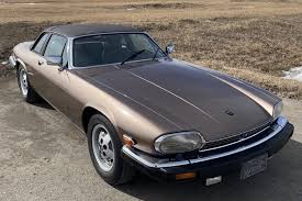 Image result for Curlew 1986 Jaguar