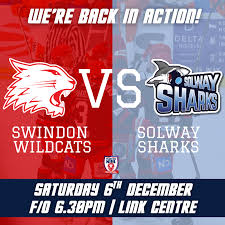Image result for Swindon Panthers