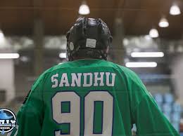 Image result for West Coast Wasps Skater Hockey Club