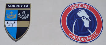 Image result for Dorking Wanderers F C