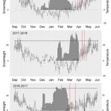 Attēlu rezultāti vaicājumam “Lamproderma pseudomaculatum spores”