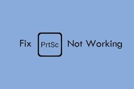 Image result for print screen