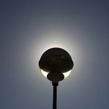 Attēlu rezultāti vaicājumam “pollen corona”