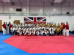 Image result for Great Britain Martial Arts Academy