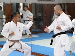 Image result for Seiki Juku Karate Organisation