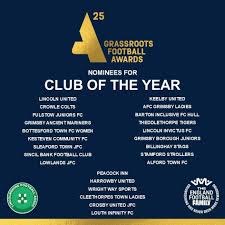 Image result for Keelby United Fc