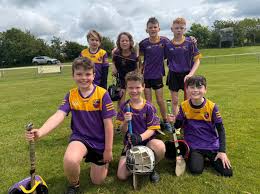 Image result for Carryduff Gaelic Athletic Club