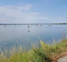 Image result for Harlow (Blackwater) Sailing Club