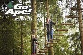 Image result for Go Ape! Leeds Castle