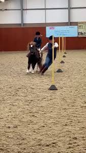 Image result for Chobham and District Riding Club