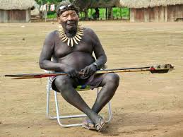 Image result for tribe