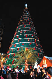 مجموعة صور لأجمل ـشجرة عيد الميلاد - صفحة 6 Images?q=tbn:ANd9GcTRECimDbUKExp7CkWBPYPubiB5_oc07xYLw1Aoqnwqwy4fKUV0