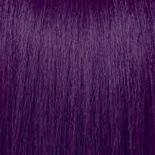 Image result for violet