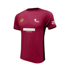 Image result for Sibton Park Cricket Club