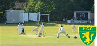 Image result for Hallam Cricket Club