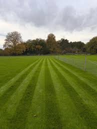 Image result for Abinger Sports Club