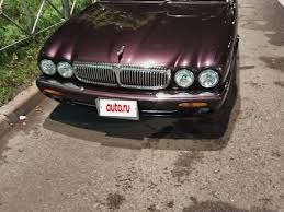 Image result for Amananth Purple 1998 Jaguar