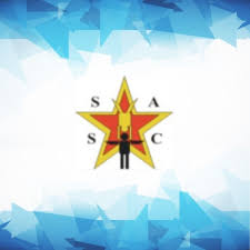 Image result for Harriers Acrobatic Gym Club