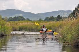 Image result for Blackwater Valley Canoe Club
