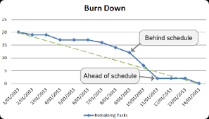Image result for burnup chart