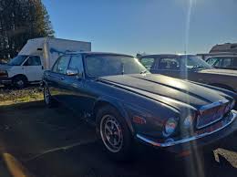 Image result for Black 1983 Jaguar