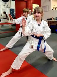 Image result for Okami Karate & Fitness Schools
