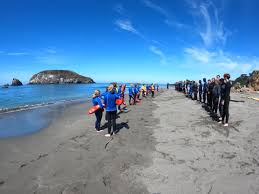 Image result for Dover Lifeguard Sc