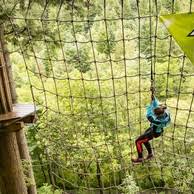 Image result for Go Ape! Whinlatter