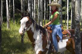 Image result for Cliff Hatch Stables