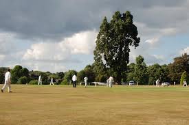 Image result for Heathfield Park Cricket Club