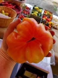 Afbeeldingsresultaat voor northern lights tomato