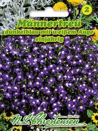 Image result for Männertreu