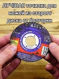 Картинки по запросу белку зажевало в диск