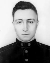 Image result for Gurke